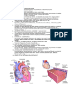 Informe Nº2 Sistema Cardiovascular