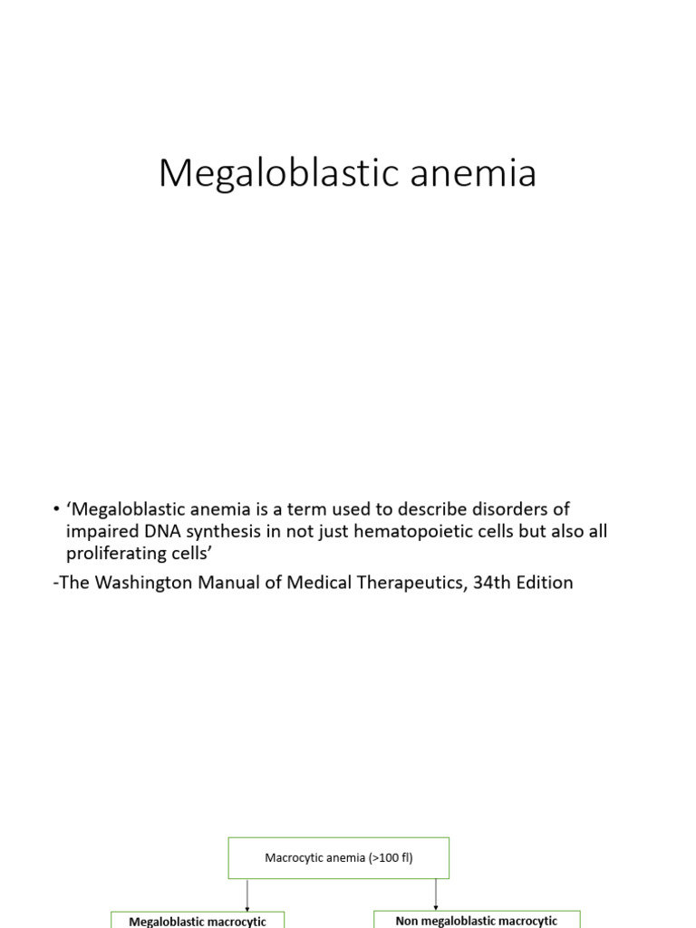 Megaloblastic Anemia PDF Anemia Vitamin B12