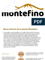 Presentación MONTEFINO