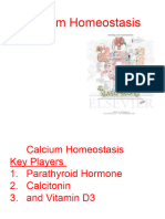 Parathyroid-Hormone Calcium Homeostasis