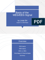 Basis MEEG Signal LiS2