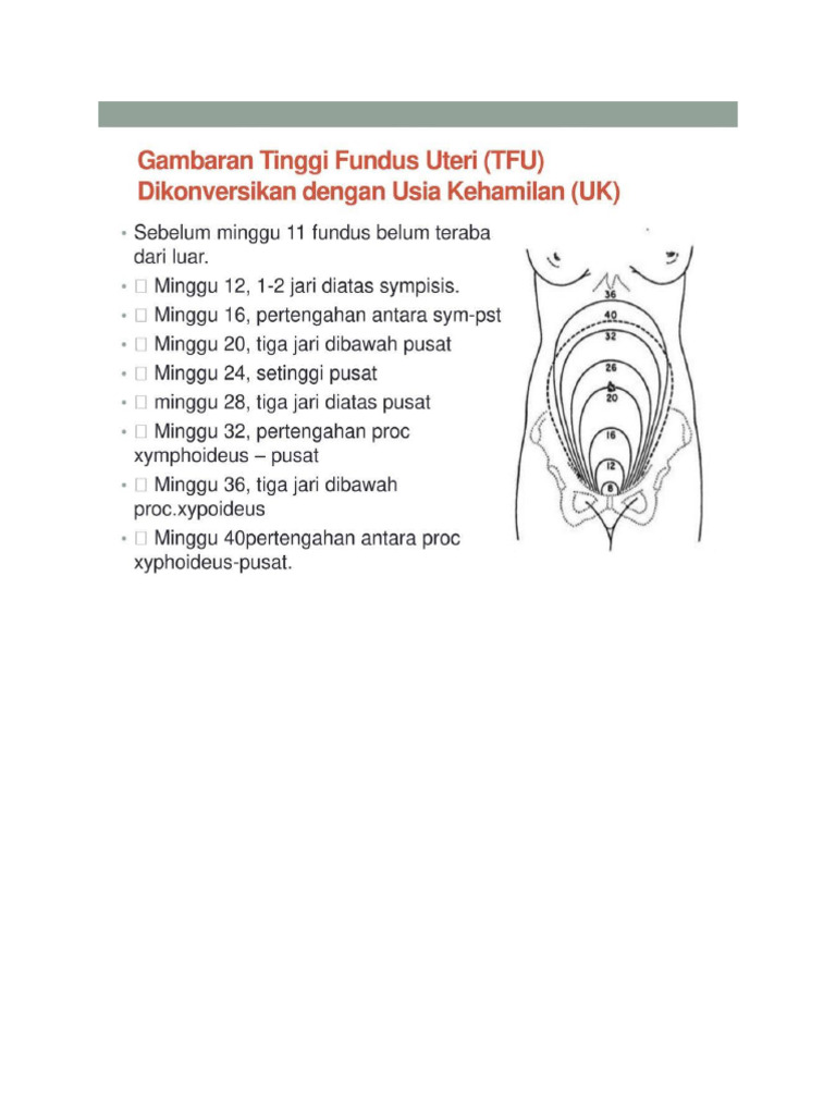 Uk Tfu | PDF