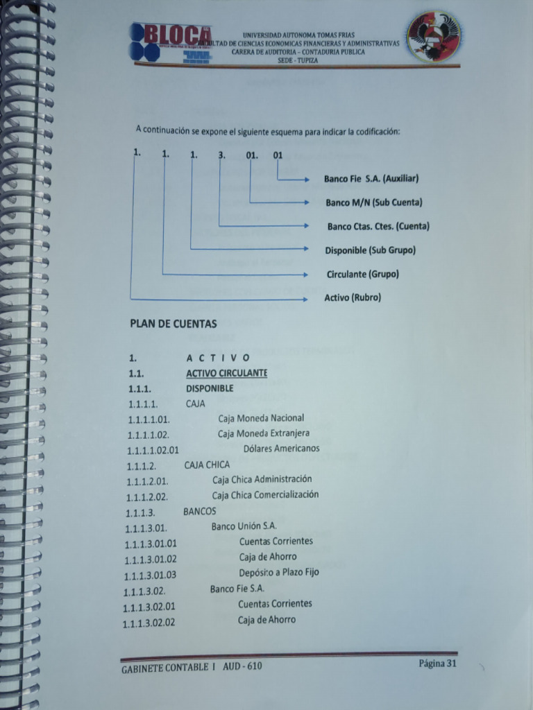 Plan de Cuentas Contables Detallado | PDF | Contabilidad | Bancos