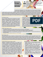 Development of Foam Concrete and Eco Raft Pile System For Road Construction Over Peat Soil