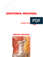 Region Inguinal