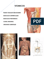 Topografía abdominal-Peritoneo-Puntos Dolorosos