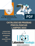 Catalogo - de - Pruebas - Psicologicas San Juan de Lurigancho