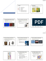 BIO002 - Introductory Biology Lecture 6 AY2018-2019