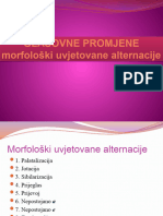 Morfološki Uvjetovane Alternacije