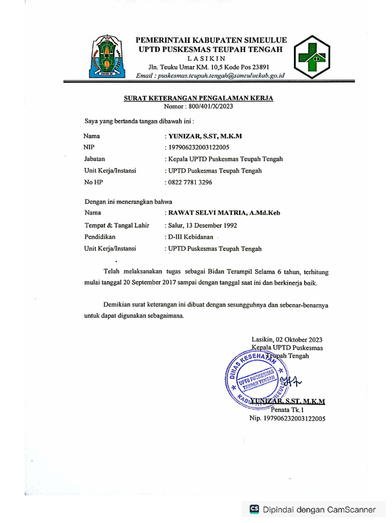 Pengalaman Kerja Rawat | PDF
