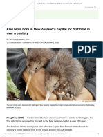 Kiwi Birds Born in New Zealand's Capital For First Time in Over A Century - CNN