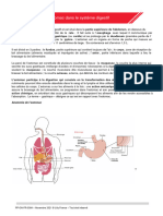 Lestomac Dans Le Systeme Digestif