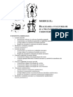 Modulul: R: Ealizarea Cusăturilor Și A Tratamentelor Umidotermice