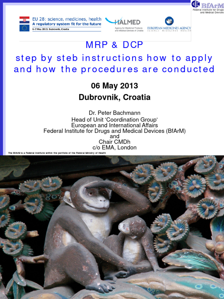 Presentation Mutual Recognition Procedure Decentralised Procedure Step