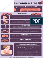 Respiratory System Infographic .