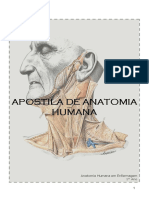 Anatomia Humana APOSTILA INTERATIVA