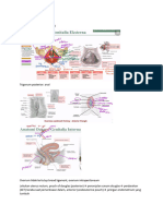 Catatan Ginekologi