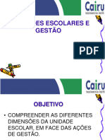 As Dimensões Do Gestor