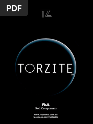 LCSG 5.5サイズ 100個セット T-LCSG ※チタンSICガイド,両足,富士工業 Fuji