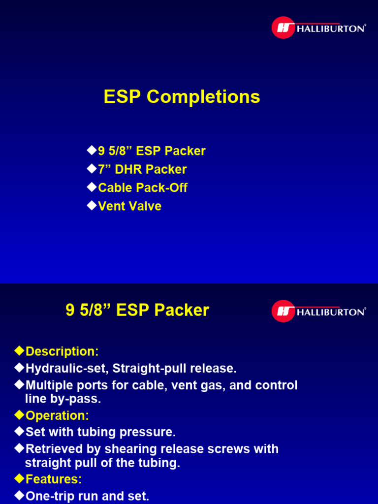 ESP Training PDF Pressure Pipe (Fluid Conveyance)