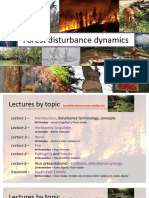 Forest Disturbance Dynamics l6b - Synthesis Floor 20