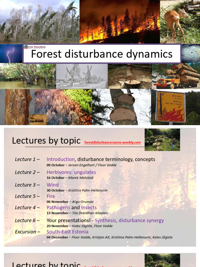 Forest Disturbance Dynamics Course Overview | PDF | Disturbance ...