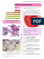 Aula 12.09 Alterações Celulares Reativas