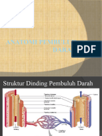 Anatomi Pembuluh Darah