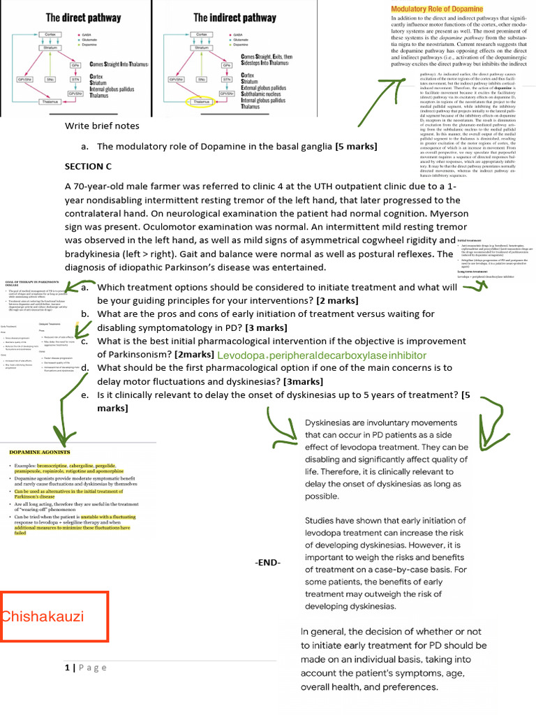 Basal Ganglia Questions PDF