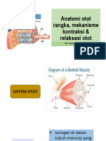 Anatomi Otot' 23