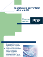 19949226-Metode-de-Analiza-Ale-Secventelor-ADN-Si-ARN