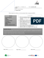 Documento Trabalho 3 - Protocolos