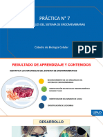 7 (P) Organelos Del Sistema de Endomembranas