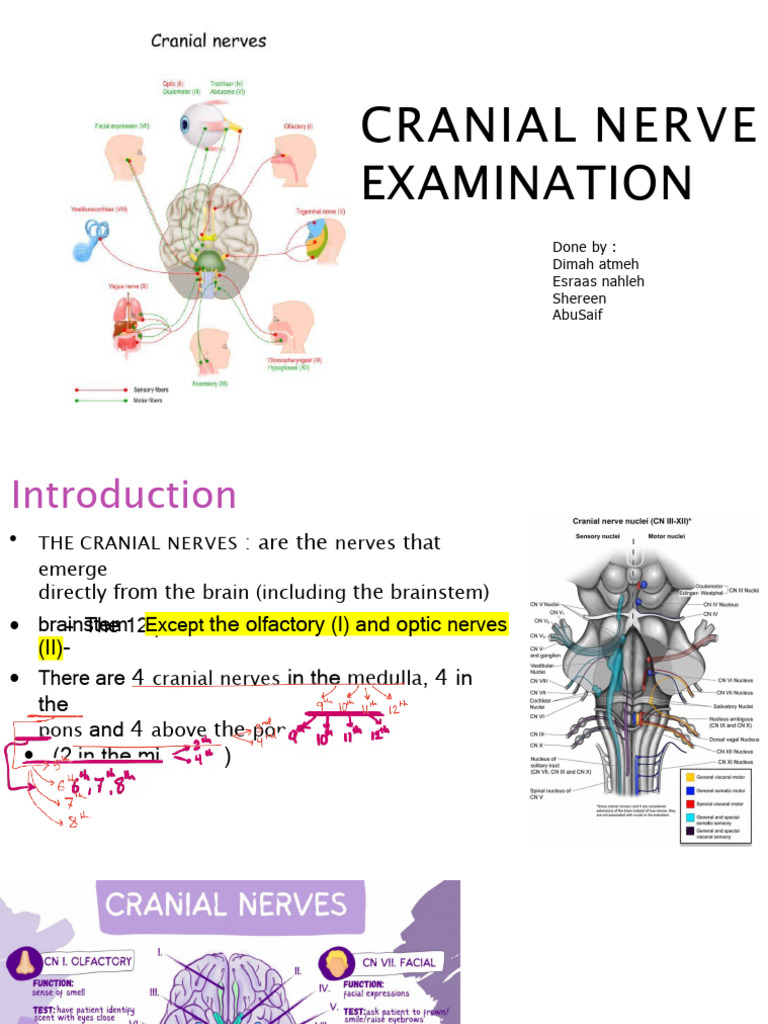 Comprehensive Guide to Cranial Nerve Examination | PDF | Face | Nervous ...
