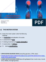 Upper & Lower Limb Examination