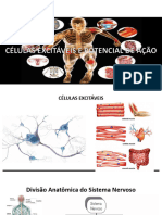 Células Excitáveis e Potencial de Ação