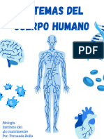 Sistemas Del Cuerpo Humano