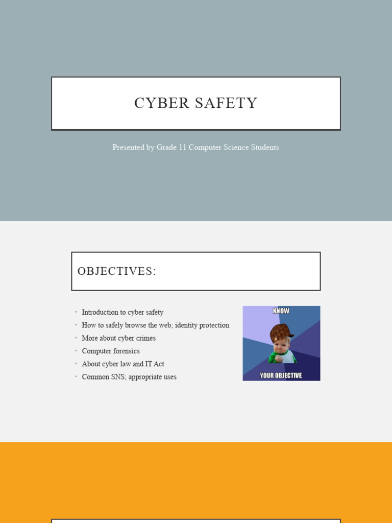Cyber Safety: Protecting Your Online Identity | PDF | Http Cookie ...