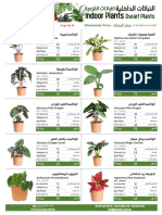 Dwarf plants النباتات القزمية