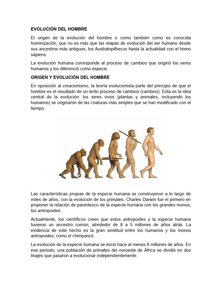 Evolucion Del Hombre | PDF | Homo | Evolución de los primates