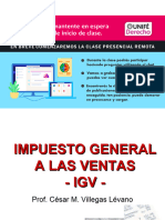 1 IGV Principios Generales