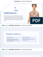 Aula 04 Anatomia e Fisiologia Humana