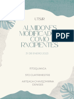 Almidones Modificados Cómo Excipientes-Arteaga Chavez Mirna Denisee-QF03SV-21