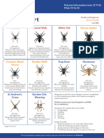 Spider Identification Chart
