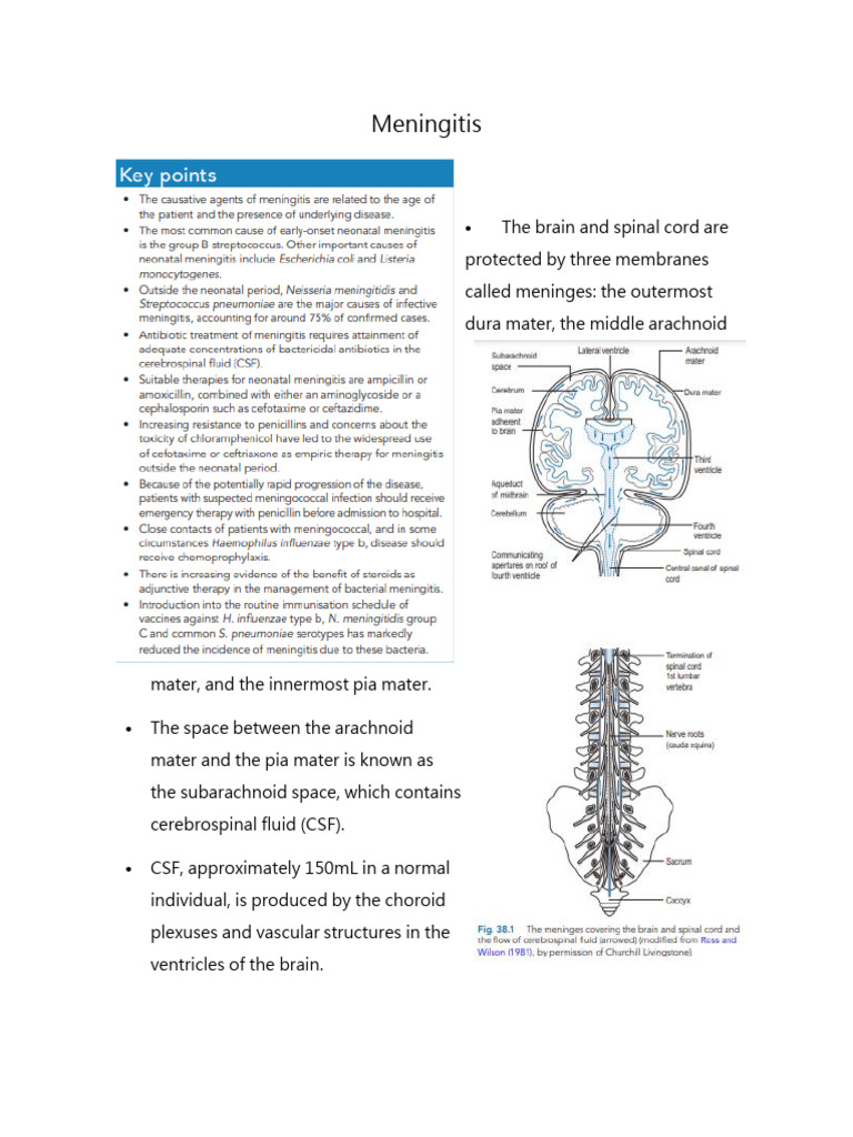 Meningitis 2 | Download Free PDF | Meningitis | Cerebrospinal Fluid
