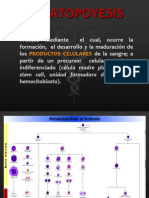 Hemato-Eritropoyesis