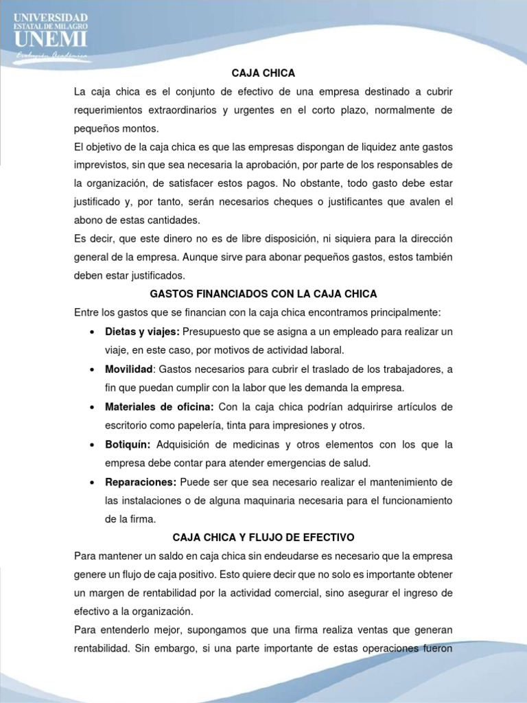 caja-chica-contabilidad-pdf-business-economias