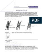 Northwestern Medicine Protegiendo Su Stent Protecting Your Stent