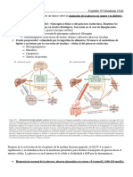 Insulina e Hipoglucemiantes