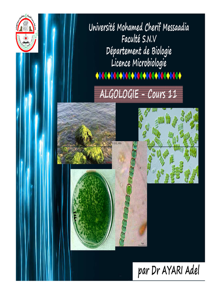 Classification des algues en algologie PDF Algue Cyanobactéries — free download